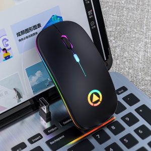 Ergonomic Wireless Mouse Rechargeable Silent LED Backlit Portable Cute Mini Mouse Works for PC Computer Black