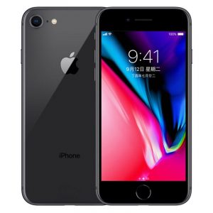 Apple iPhone 8 12MP+7MP Camera 4.7-Inch Screen Hexa-core IOS 3D Touch ID LTE Fingerprint Phone with Euro Plug Adapter Deep gray_256GB