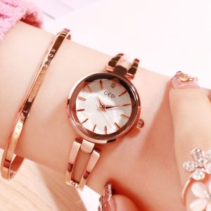 Women Stainless Steel Waterproof Bracelet Watch with Spiral Case for Casual Office  Rose gold shell white dial