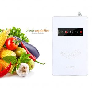 Home Multifunction Ozone Generator for Refrigerator Vegetable Meat Air Purify White American regulation 110V