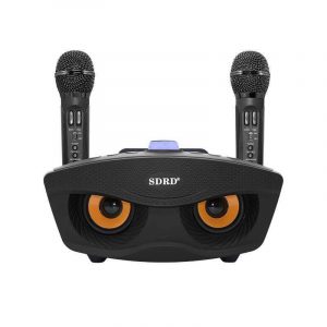 SD306 Dual Wireless Microphone Bluetooth Speaker Mobile Wireless Karaoke Speaker Wireless Stereo Speaker Set black