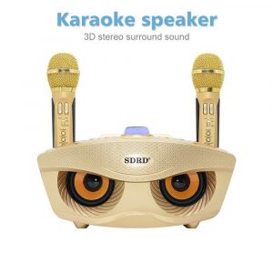 SD306 Dual Wireless Microphone Bluetooth Speaker Mobile Wireless Karaoke Speaker Wireless Stereo Speaker Set Gold