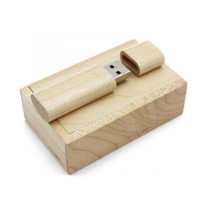 Ants Unique Wooden Guitar Shape Flash Drive USB Drive with Cute Little Box white_64G